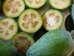 Image of Feijoa