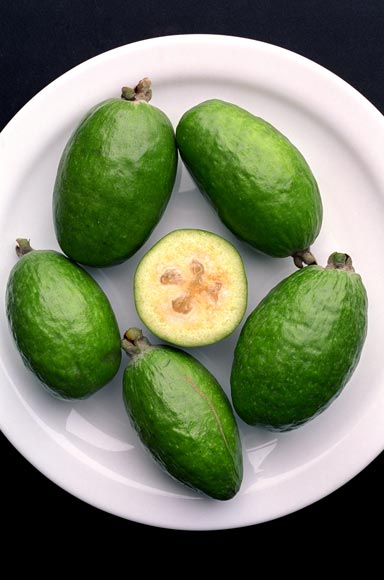 Feijoa Picture
