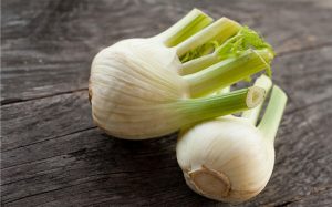 Fennel Bulbs