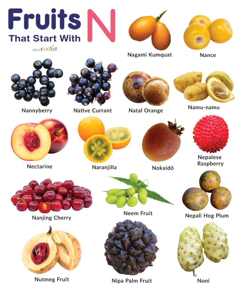 Fruits That Start With N
