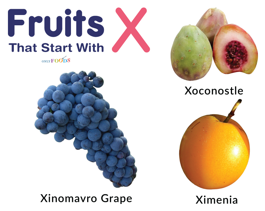 Fruits That Start With X
