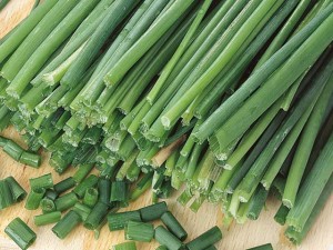 Picture of Garlic Chives