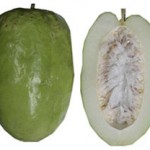 Photos of Giant Granadilla