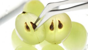 Grape Seed Grape Seed Image