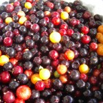 Pictures of Guavaberry