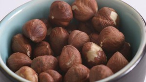 Hazel Nut Images Images of Hazel Nut