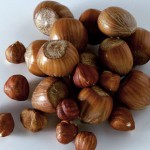Photos of Hazel Nut