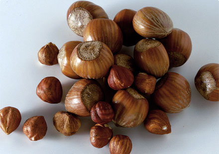 Photos of Hazel Nut