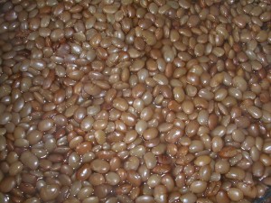 Horse Gram Horse Gram Image