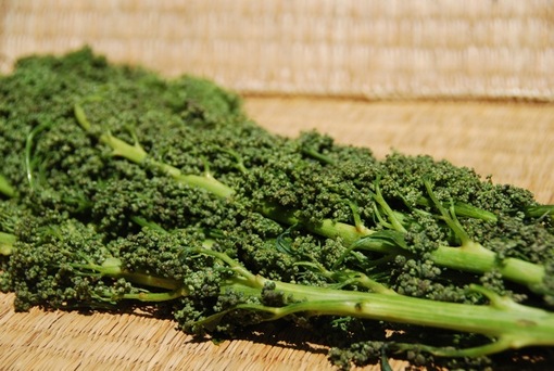 Images of Huauzontle