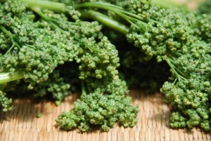 Pictures of Huauzontle