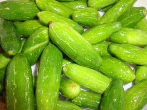 Ivy Gourd Ivy Gourd Picture