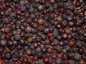 Pictures of Juniper Berries