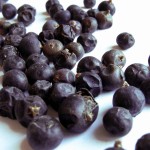 Juniper Berry Pictures
