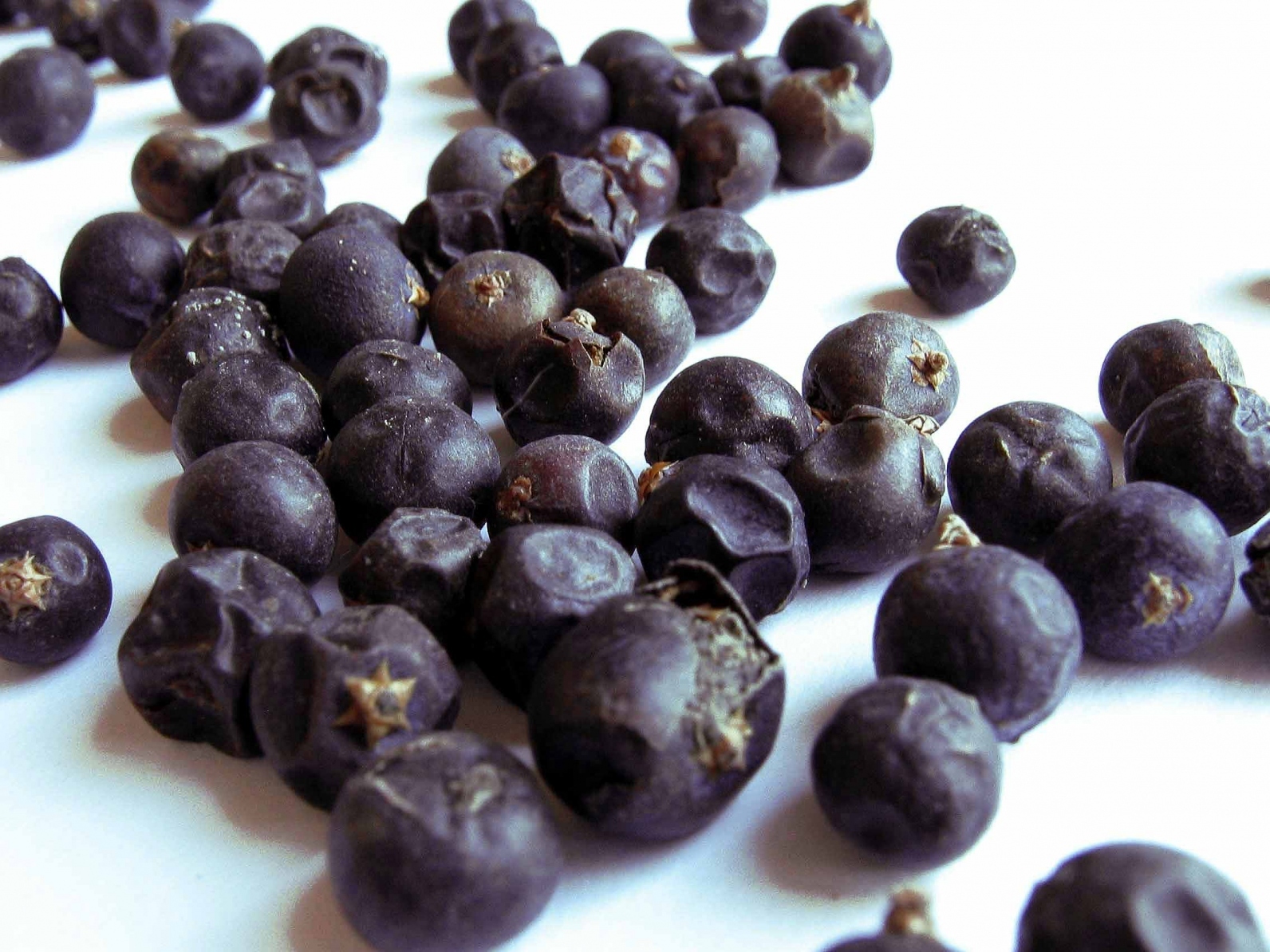 Juniper Berry Pictures