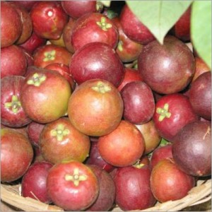 Kokum Picture