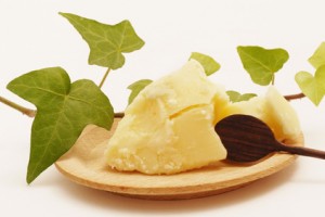 Picture of Kokum Butter