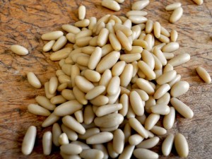 Korean Pine Images Images of Korean Pine