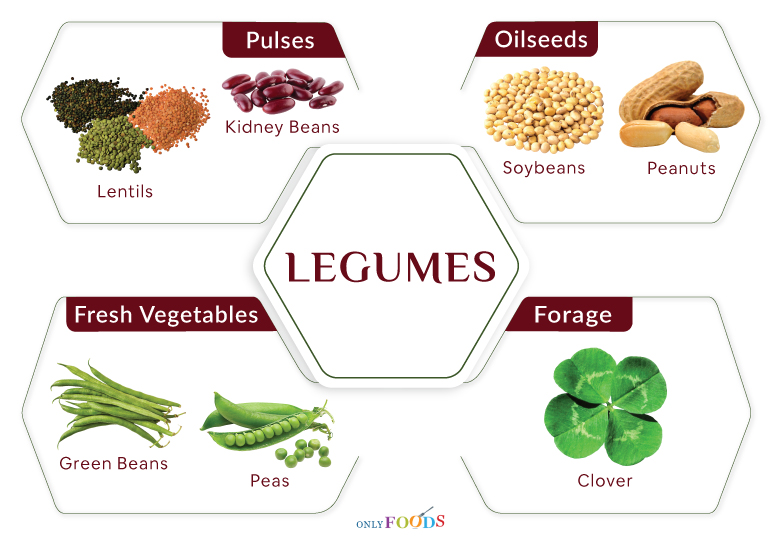 Legumes vs Pulses with Examples