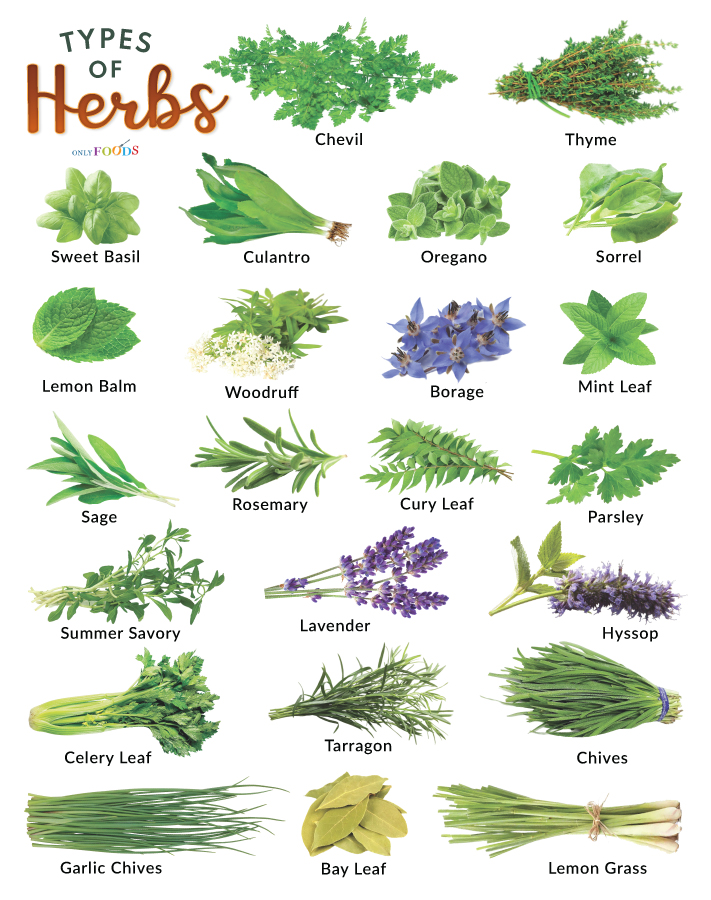 List of Herbs