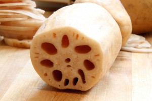 Lotus Root Images