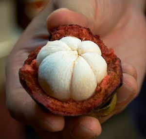 Pictures Mangosteen