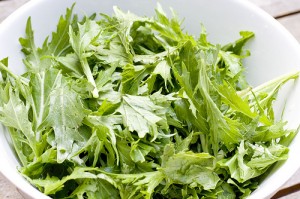 Mizuna Photos Photos of Mizuna