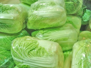 Napa Cabbage Picture