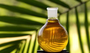 Palm Oil Palm Oil Picture