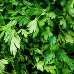 Images of Parsley