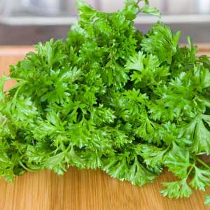 Photos of Parsley
