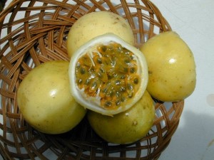 Passion Fruit Passion Fruit Picture