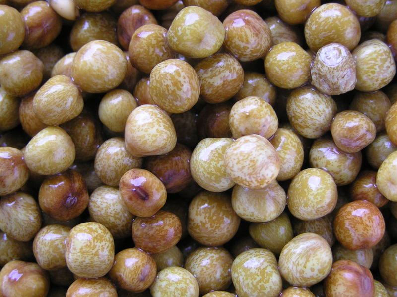 Photos of Pigeon Peas