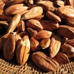 Images of Pili Nut