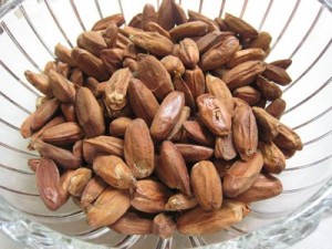 Pili Nut Photos Photos of Pili Nut