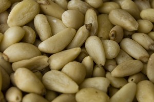 Pine Nuts