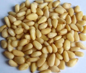 Pine Nuts Photos