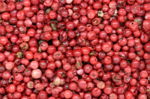 Pink Peppercorn Pink Peppercorn Picture