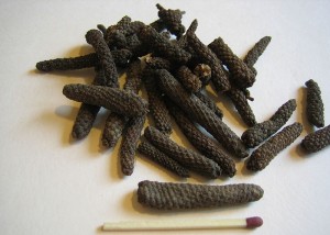 Piper Longum (Long pepper) Picture