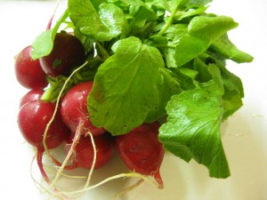 Radish Green