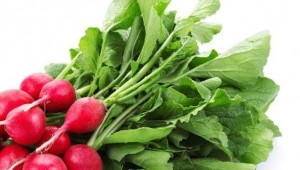 Radish Greens