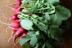 Radish Greens Pictures