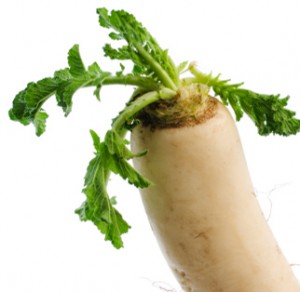 Radish Images Images of Radish