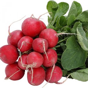 Red Radish Pictures Pictures of Red Radish