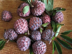 Red Sugar Apple