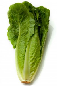 Romaine Lettuce Picture