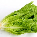 Photos of Romaine Lettuce