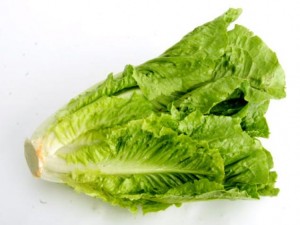 Photos of Romaine Lettuce