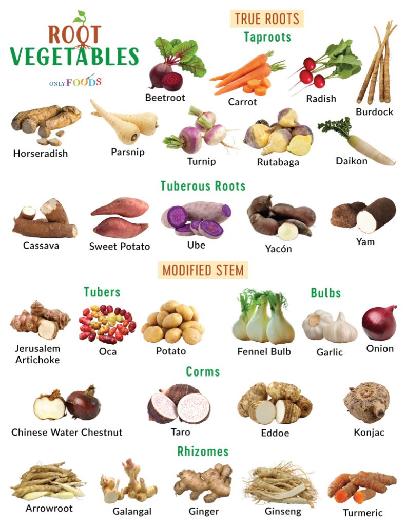 Root Vegetables