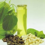 Pictures of Sacha Inchi Oil